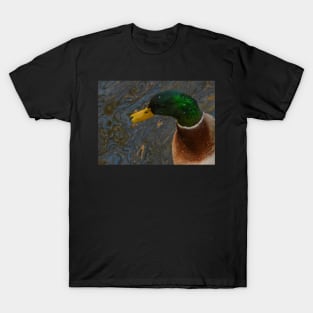 Mallard Drake T-Shirt